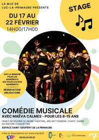 STAGE : Comédie musicale