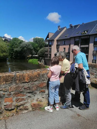 observation plantes en ville