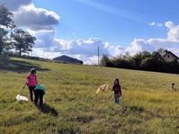 photo enfants oiseaux et papillons
