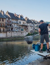 Lâchers de truites