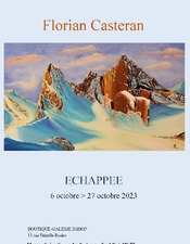 Exposition ECHAPPEE de Florian Casteran chez Bshop