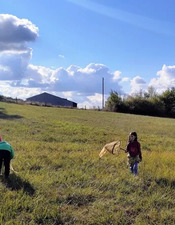 photo enfants oiseaux et papillons