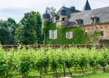 Château de Labro - Onet-le-Château