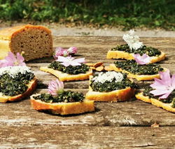 Besoin de Nature - Cuisine et Nature - Sainte-Radegonde