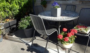 Le tilleul de Canac - Rodez