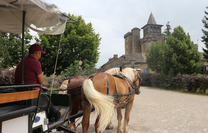 Promenade en Calèche - Ecole du loisir attelé 5 - Le Monastère