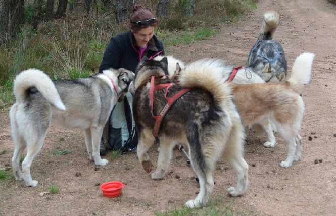 Votre Chien au Positif (Non communiqué en 2023) 3 - Rodez