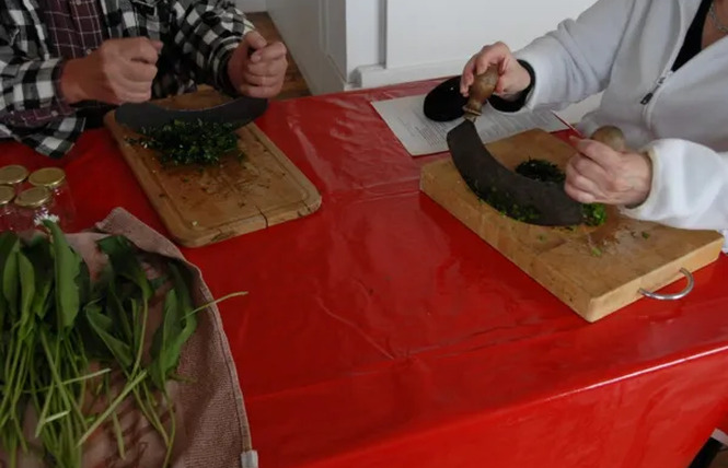 Capucine et Marjolaine- Découverte de la nature et conseillère en santé naturelle 13 - Rodez