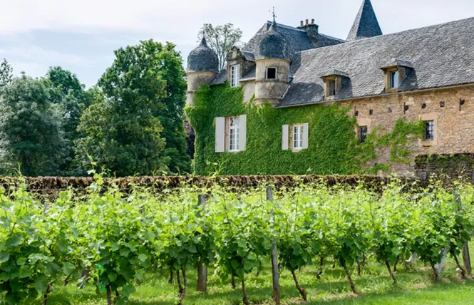 Château de Labro 1 - Onet-le-Château