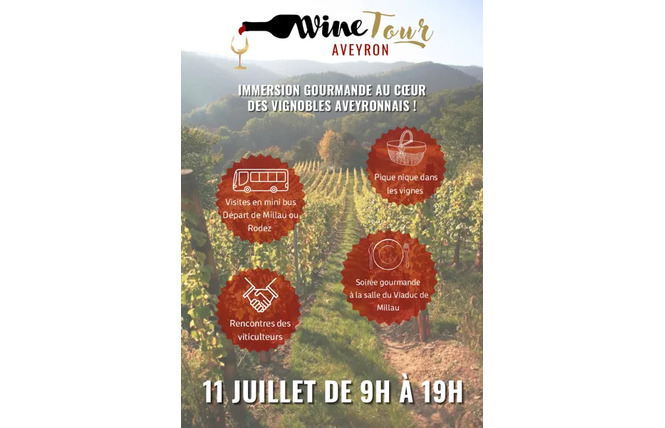 Aveyron Wine Tour 1 - Rodez