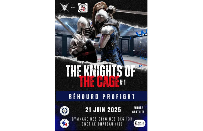 Tournoi de profight : combat médiéval en armure 2 - Onet-le-Château