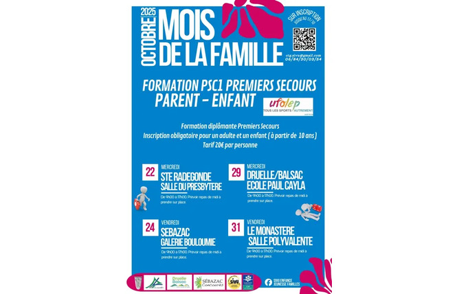 Formation PSC1 premiers secours parent et enfant 1 - Sébazac-Concourès