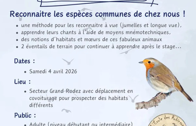 Stage oiseaux (Adultes) 2 - Druelle Balsac