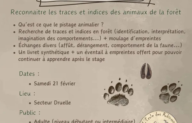 Stage Pistage Animalier (Adultes) 2 - Druelle Balsac