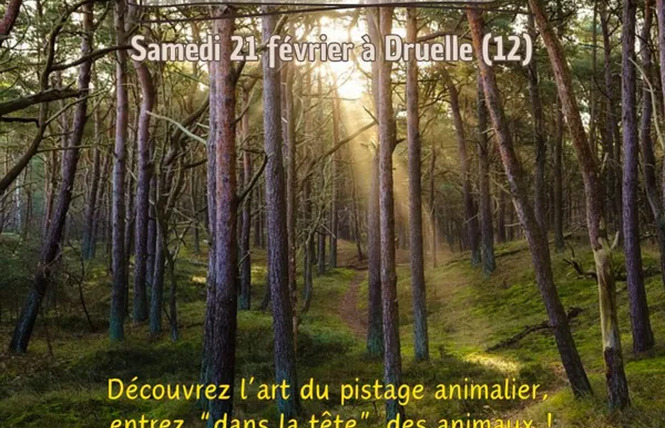 Stage Pistage Animalier (Adultes) 1 - Druelle Balsac