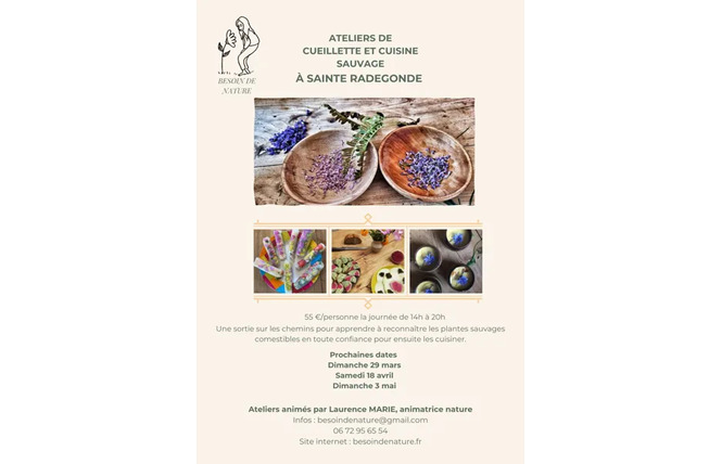 Cuisine sauvage 2 - Sainte-Radegonde