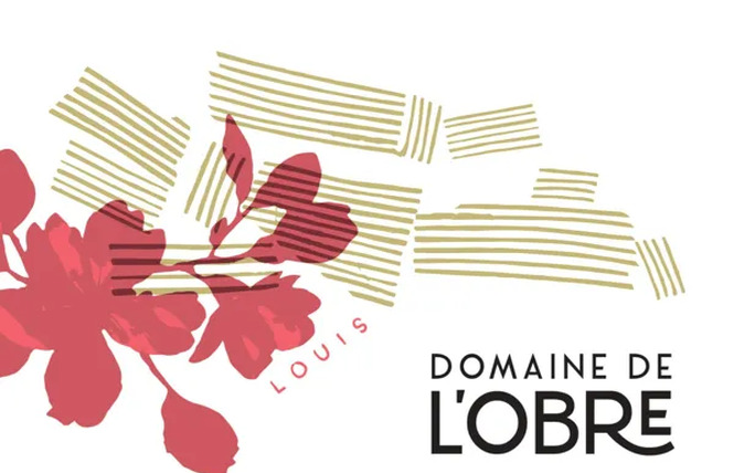 Découverte du Domaine de l'Obre : vignes, cave & dégustation 3 - Druelle Balsac