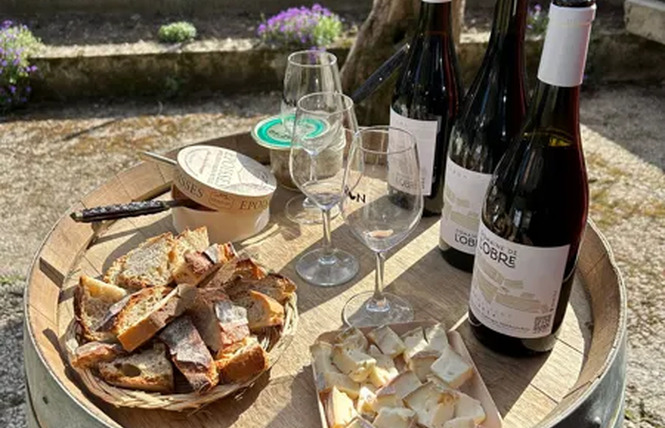 Découverte du Domaine de l'Obre : vignes, cave & dégustation 2 - Druelle Balsac