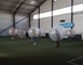 Espace Indoor- Non communiqué en 2021 2 - Luc-la-Primaube