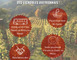 Aveyron Wine Tour 1 - Rodez
