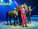 Cirque AMAR : Maestria 1 - Rodez